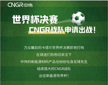 世界杯決賽 | CNGR戰(zhàn)隊(duì)申請(qǐng)出戰(zhàn)！