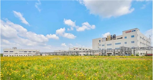 連續(xù)三年排名穩(wěn)步提升！中偉股份入選2025年中國民營企業(yè)500強(qiáng)